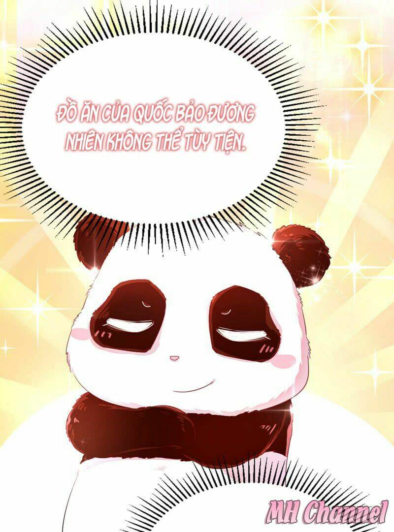 thiên thần gấu trúc muốn được ôm chapter 11 15