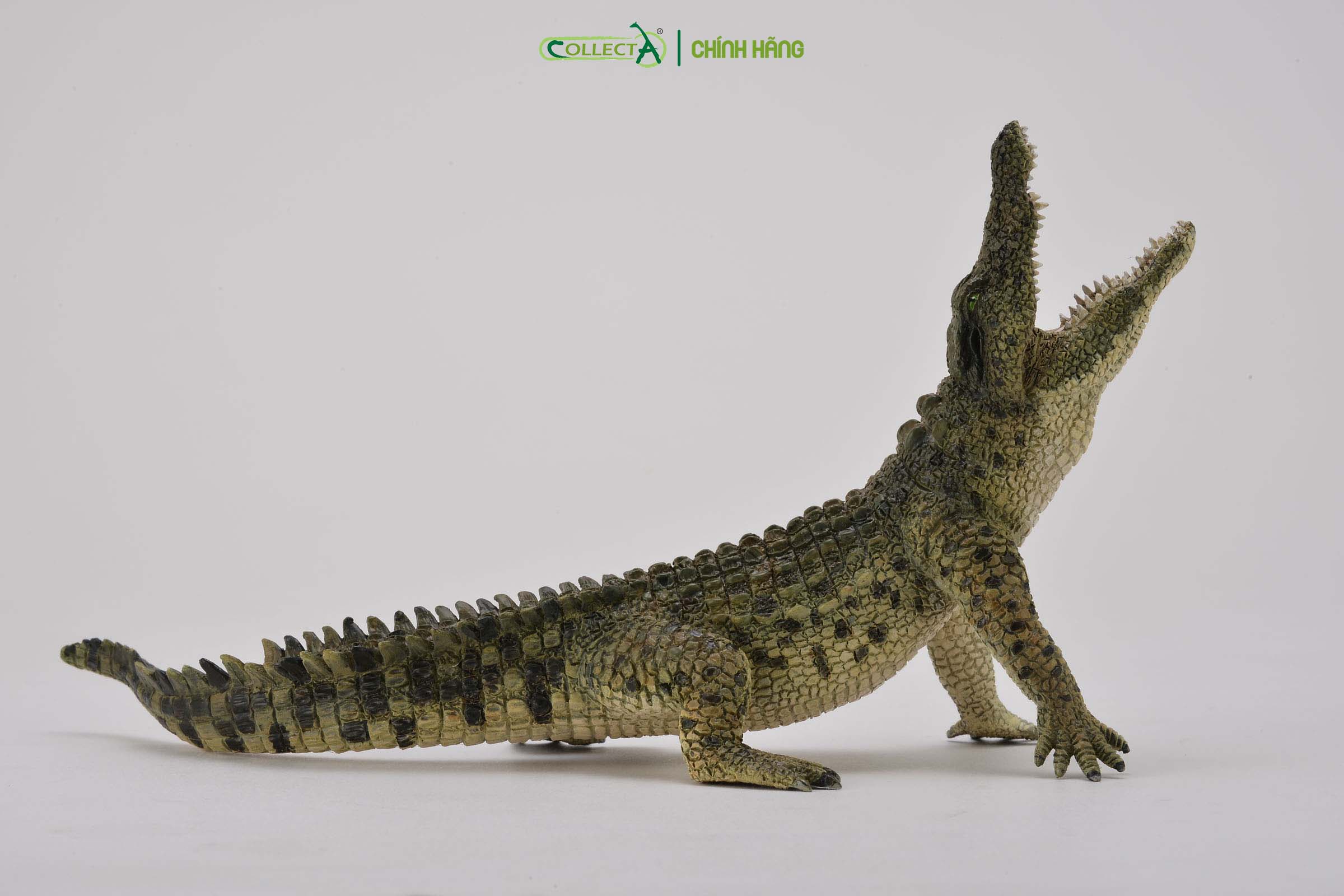 Mô hình thu nhỏ: Cá Sấu Sông Nile - Nile Crocodile Leaping with movable jaw, hiệu: CollectA, mã HS 9651090[88725] -  Chất liệu an toàn cho trẻ - Hàng chính hãng