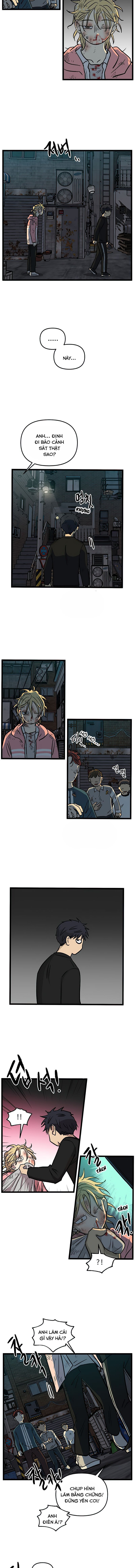 no home - không nhà chapter 155 5