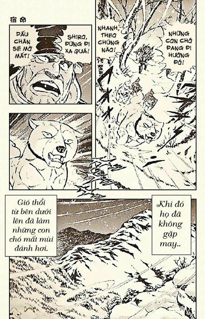 ginga densetsu riki chapter 6 8