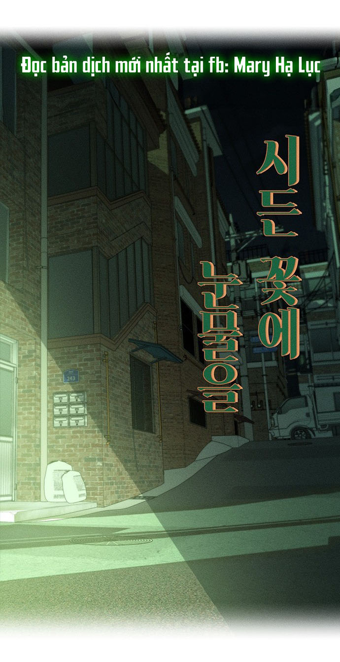 [18+] Nước Mắt Trên Đóa Hoa Tàn chapter 1.1 64