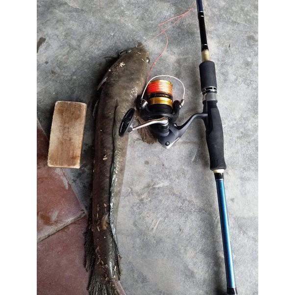 Cần Câu Lure 2 Ngọn Fishing Of Catch THẾ GIỚI ĐỒ CÂU LURE 68 Cần Câu Lure Giá Rẻ 2 Ngọn Fishing Of Catch ( sale xả hàng