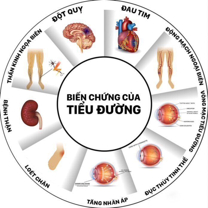 Combo 3 hộp Thực Phẩm Bảo Vệ Sức Khỏe Viên An Đường TPN