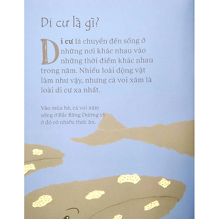 Sách Lâu Đài Khoa Học Của Em