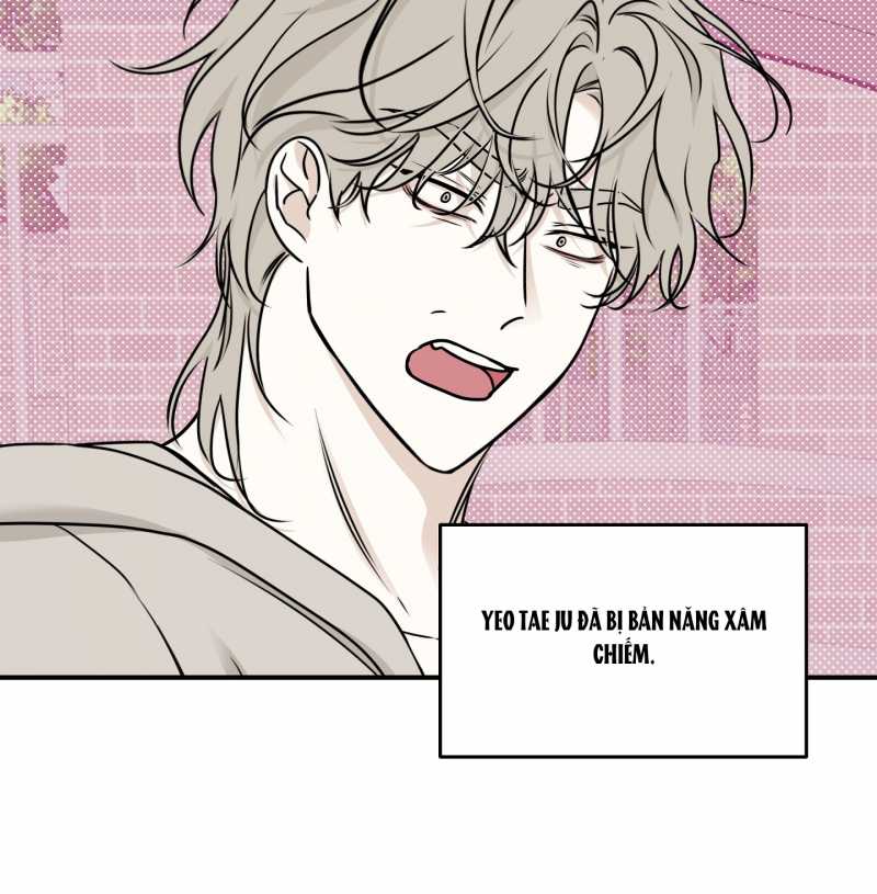 đêm bên bờ biển chapter 80.2 13