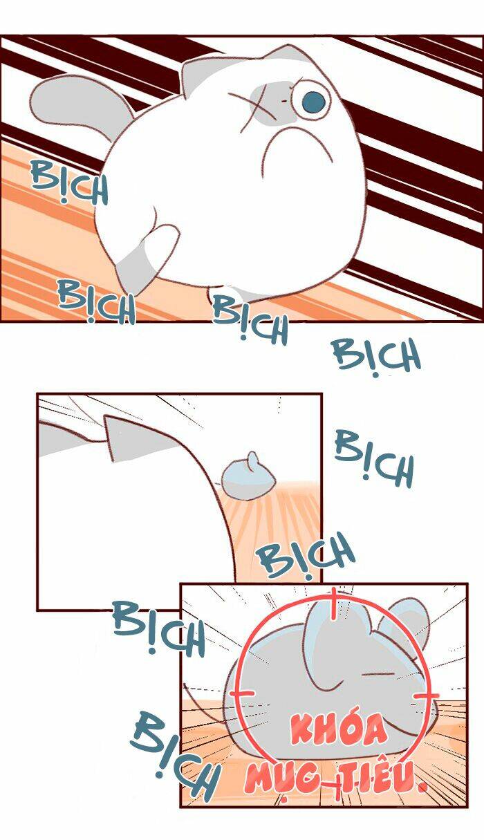 saphie: chú mèo một mắt chapter 3 11