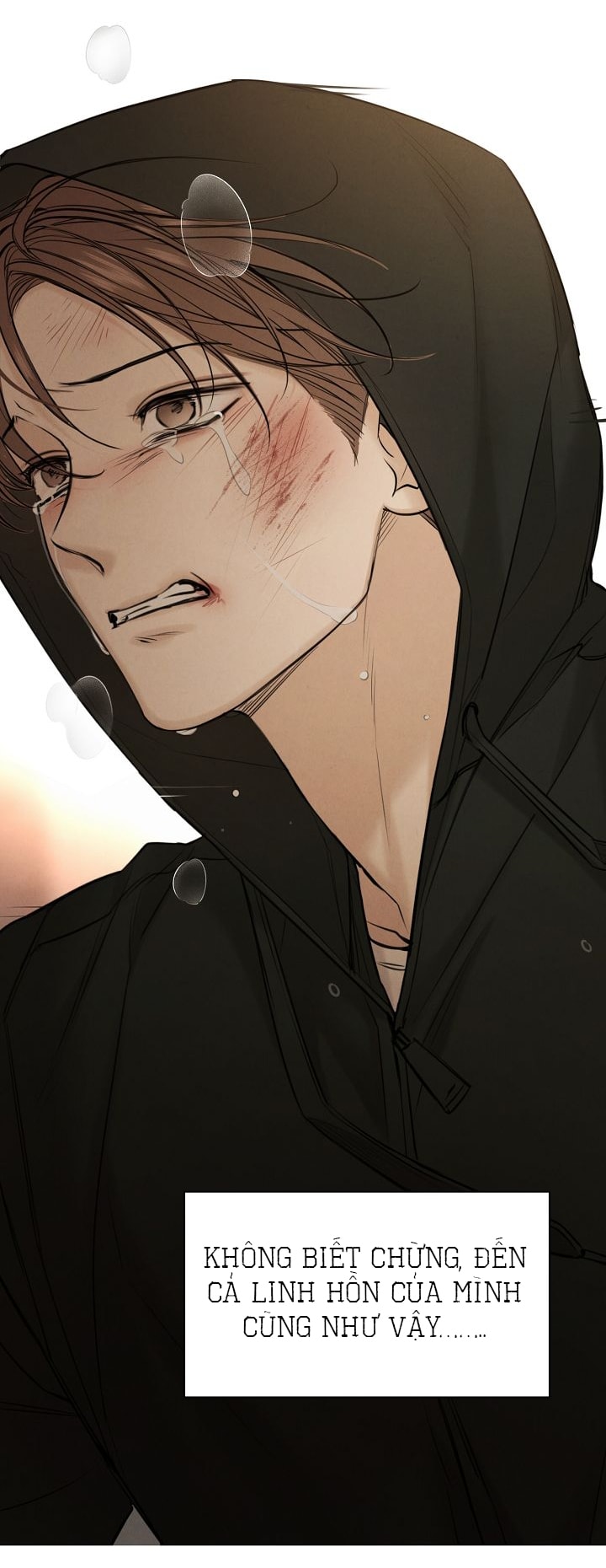 Chỉ Là Ánh Bình Minh chapter 66.2 100