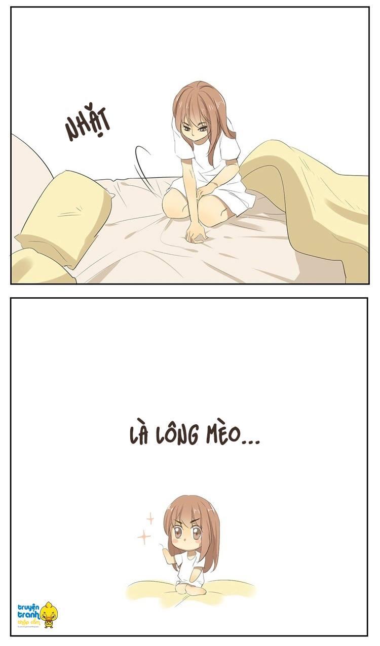 cứu mạng ! loài mèo thống trị thế giới rồi ! chapter 16 24