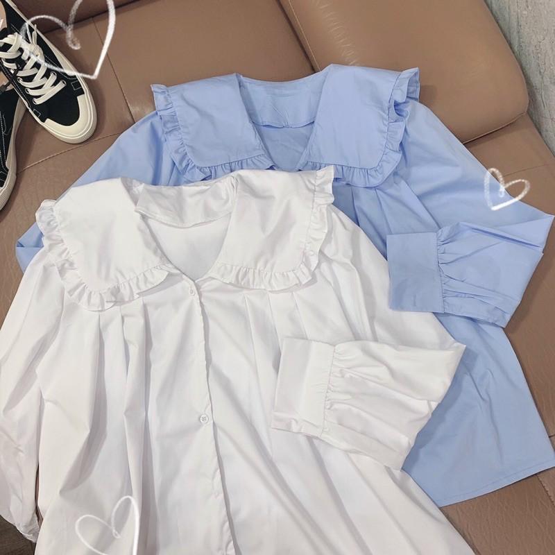 Sơ Mi Cổ Bèo Xinh Xắn