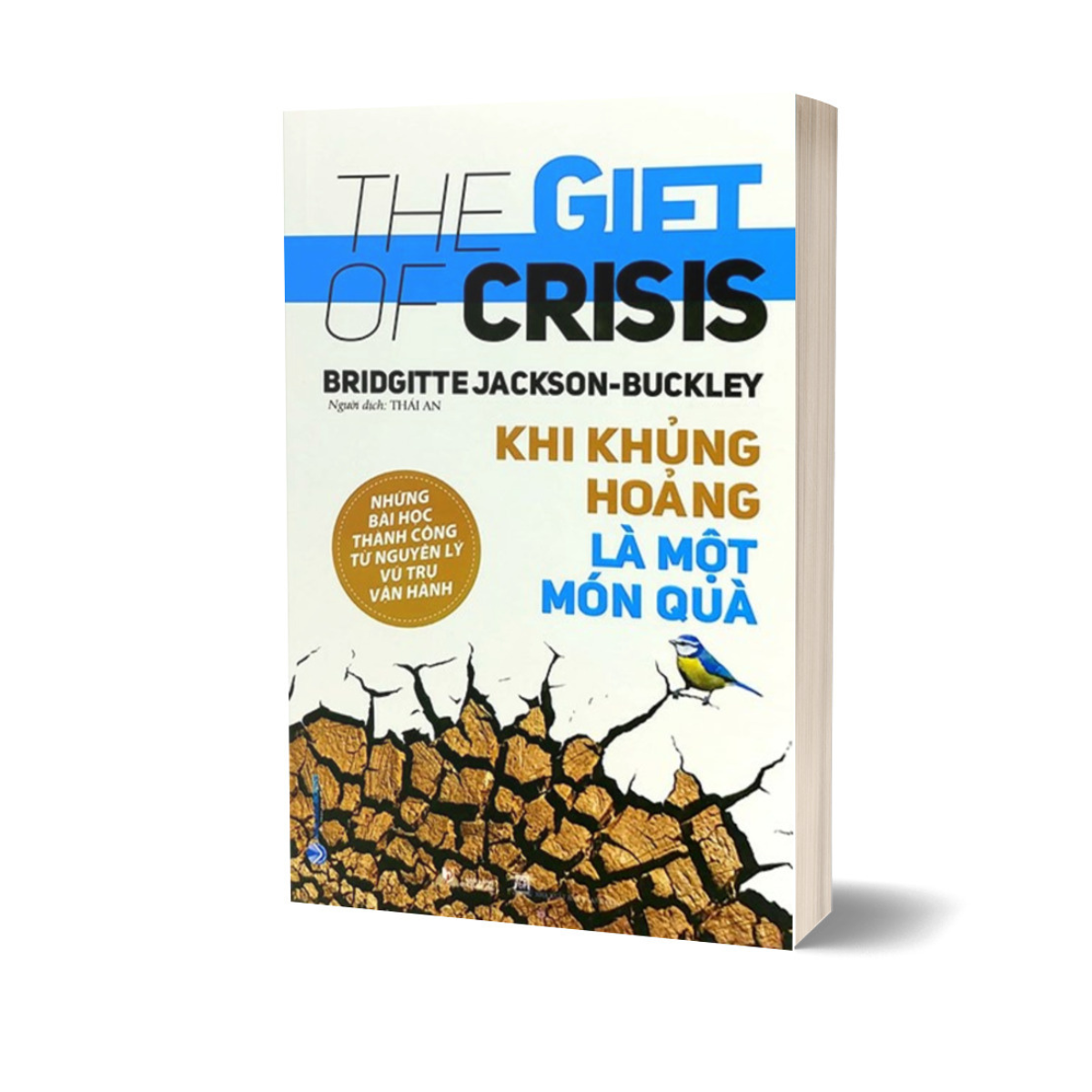 Khi Khủng Hoảng Là Một Món Quà - The Gift Of Crisis