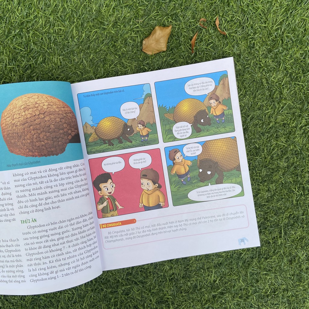 Sách- Bách Khoa Động Vật Dành Cho Trẻ Nhỏ - Động Vật Tiền Sử