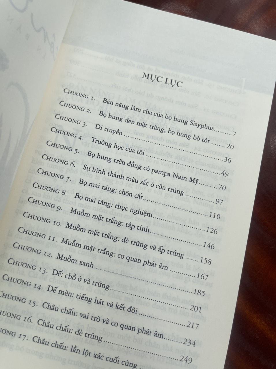CÔN TRÙNG KÝ – Tập 6 - Jean-Henri Fabre - An Lạc Group dịch – Huy Hoàng Bookstore – bìa mềm