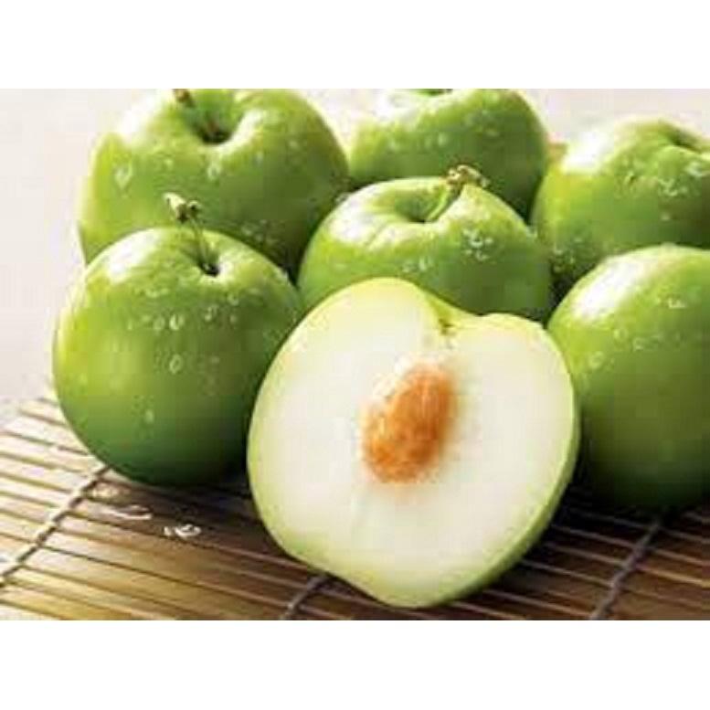 CÂY GIỐNG TÁO ĐẠI SIÊU NGON SIÊU QUẢ DÒNG QUẢ SỚM- CAM KÊT GIỐNG CHUẨN F1