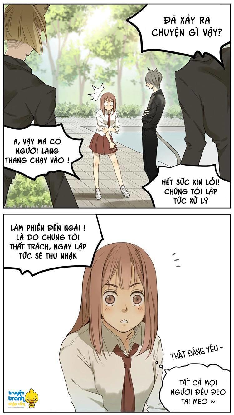 cứu mạng ! loài mèo thống trị thế giới rồi ! chapter 2 17