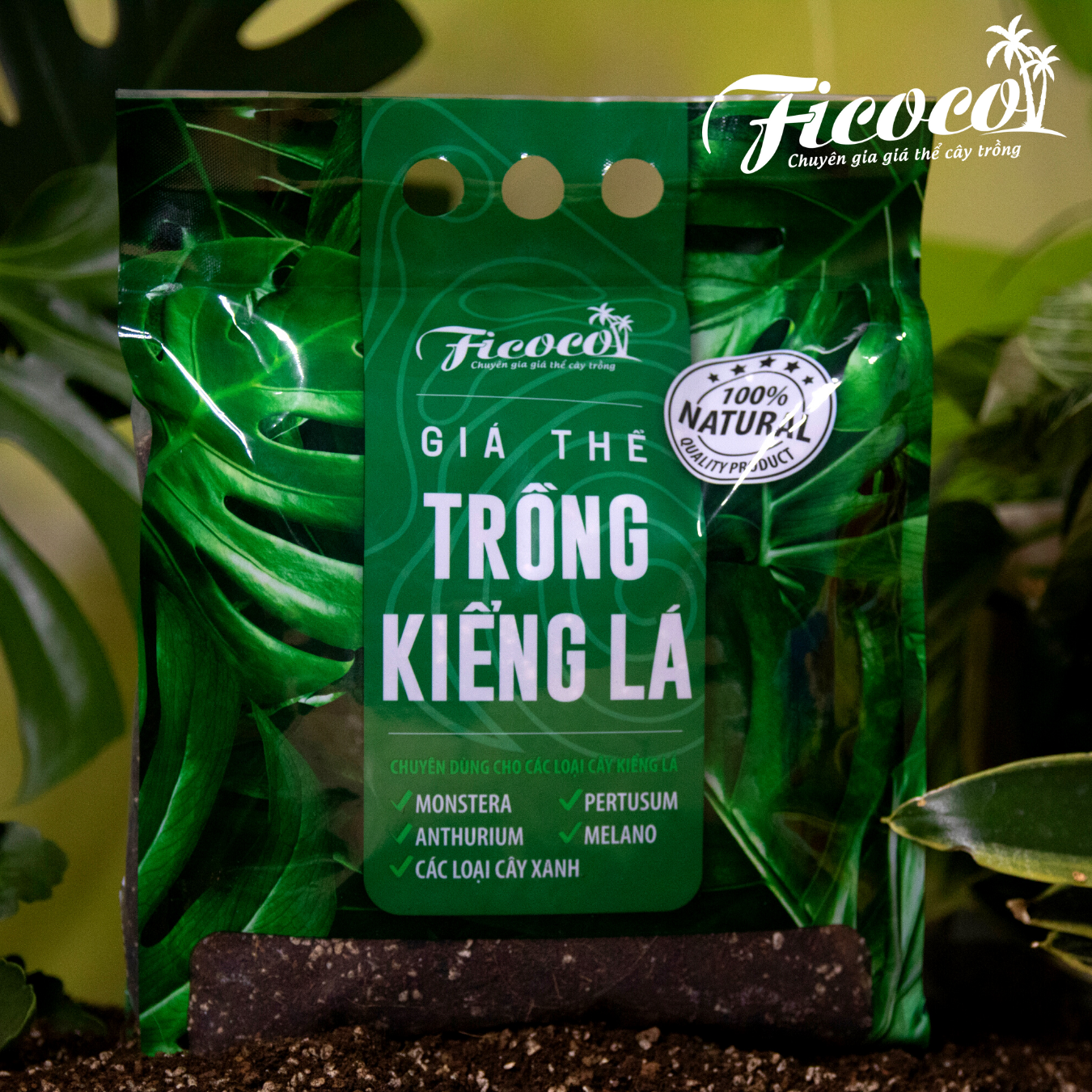 GIÁ THỂ TRỒNG  KIỂNG LÁ 7L - FICOCO