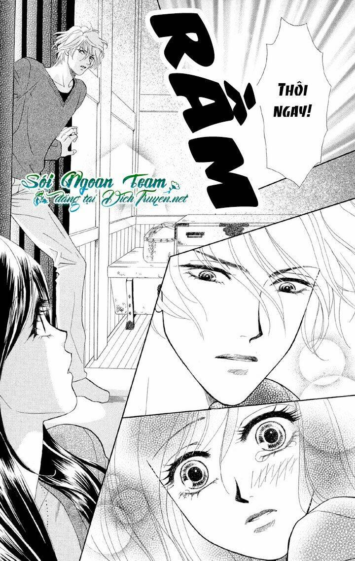 đóa hồng dành tặng seri chapter 1 24