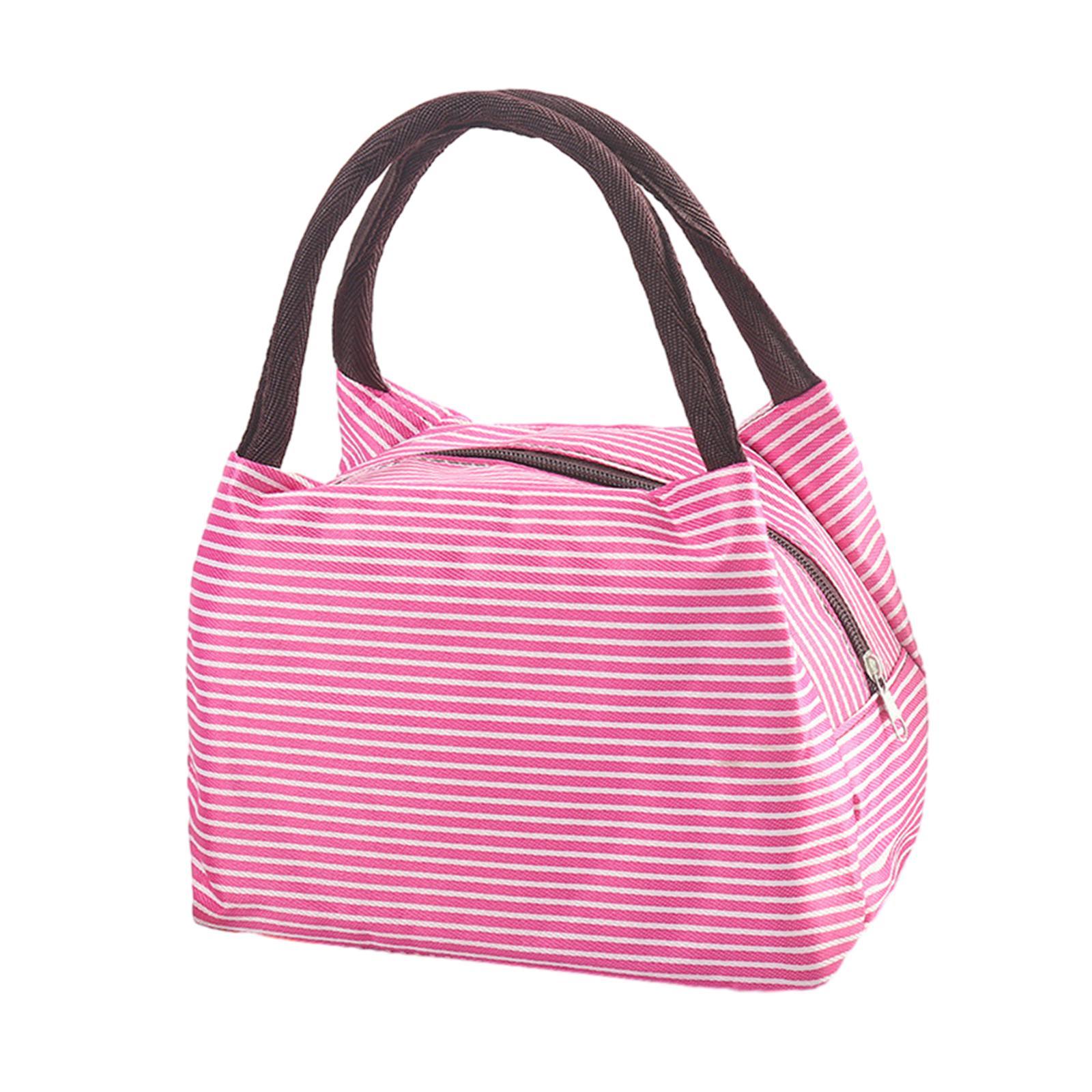 Portable Lunch Lunch Box with Handle Picnic Food Box Bags Large Capacity Lightweight Durable Portable Picnic Tote for Hiking Gym Fishing