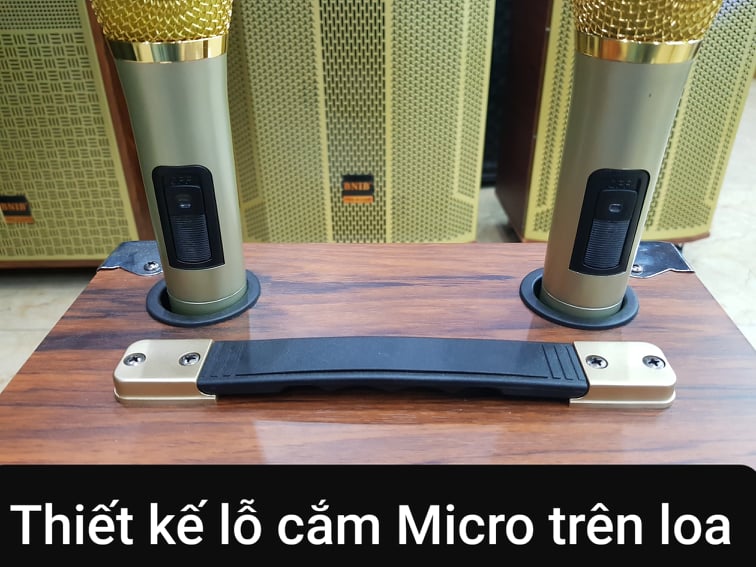 Loa kéo Karaoke Bluetooth BNIB M8: Bass 20, Có 2 Micro không dây đi kèm