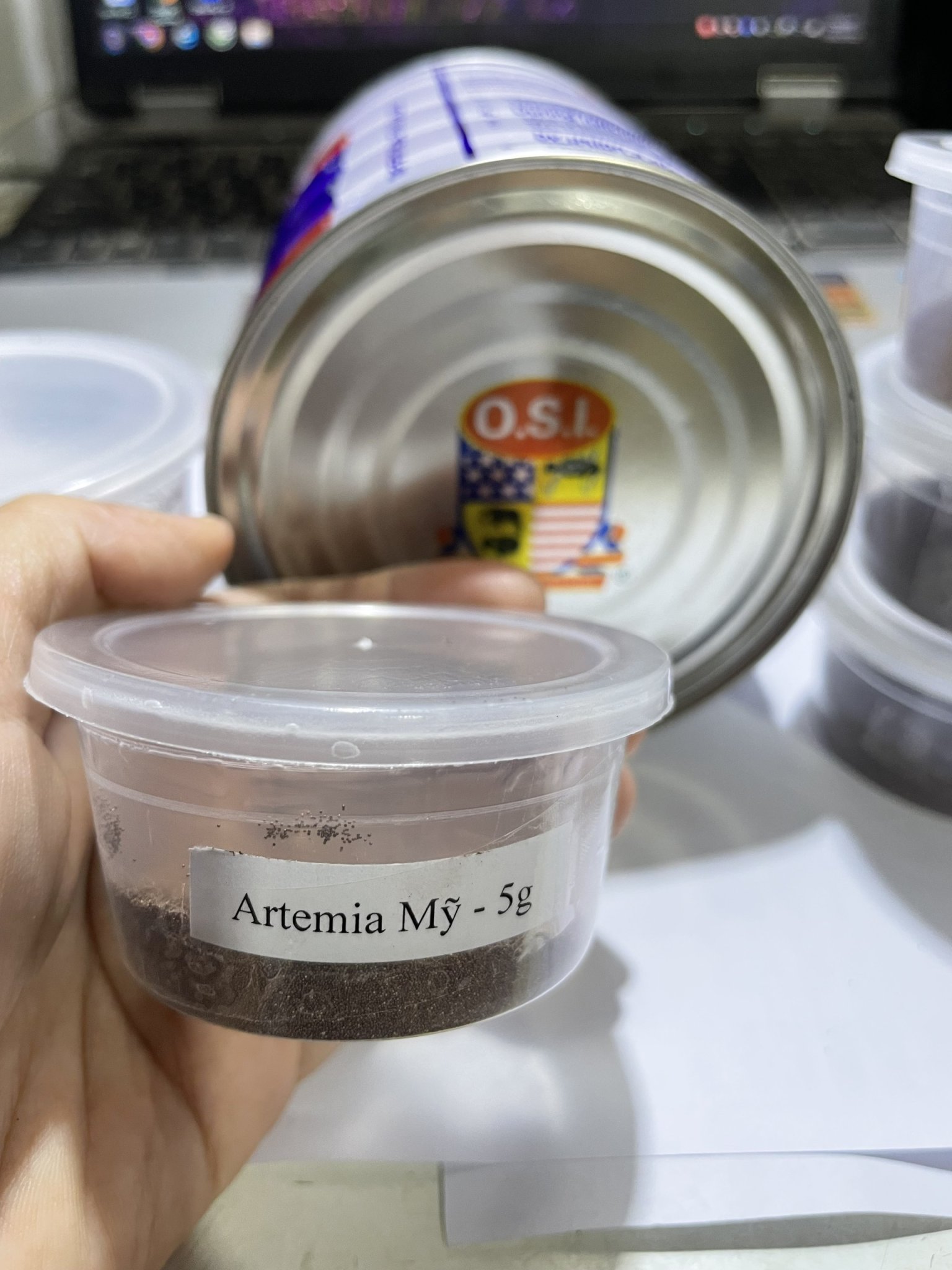Artemia Mỹ  ấp nở cho cá bột,cua,tôm tép kiểng ăn phát triển -hủ 5g