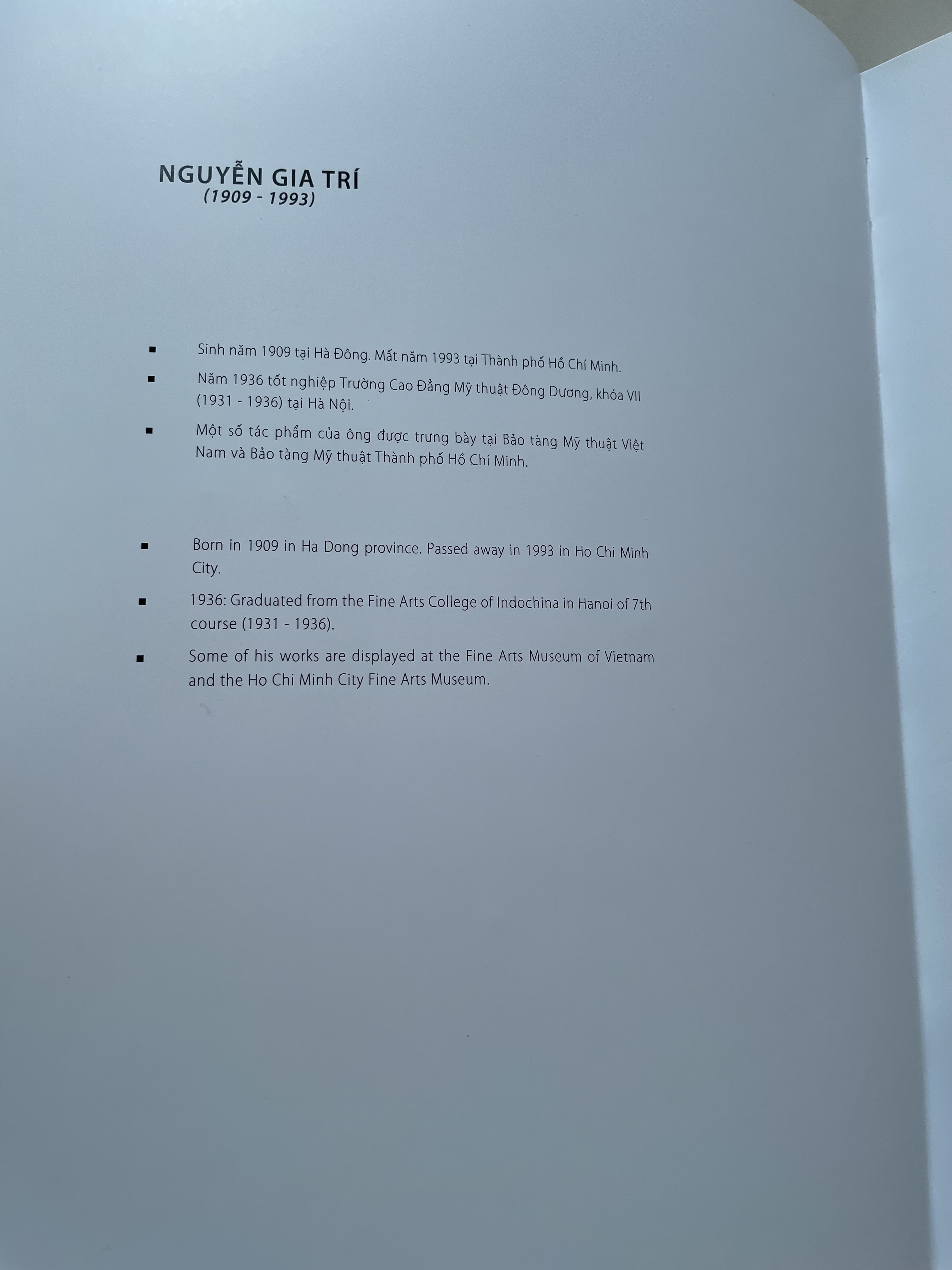 CÁC HOẠ SĨ VIỆT NAM ĐƯƠNG ĐẠI (BÌA CỨNG)