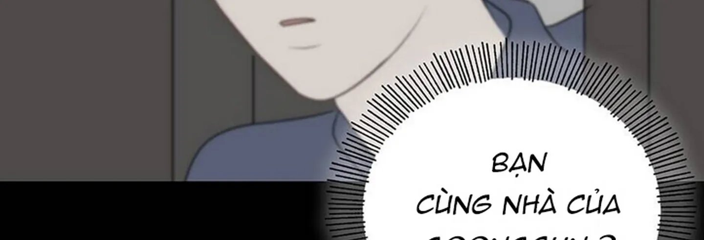 chuyện quái gì với giấc mơ đó vậy chapter 15 204