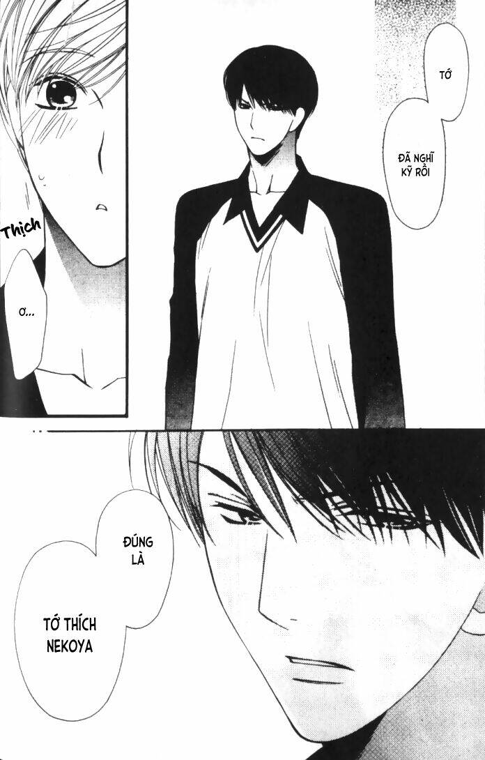 neko neko honey chapter 6 15