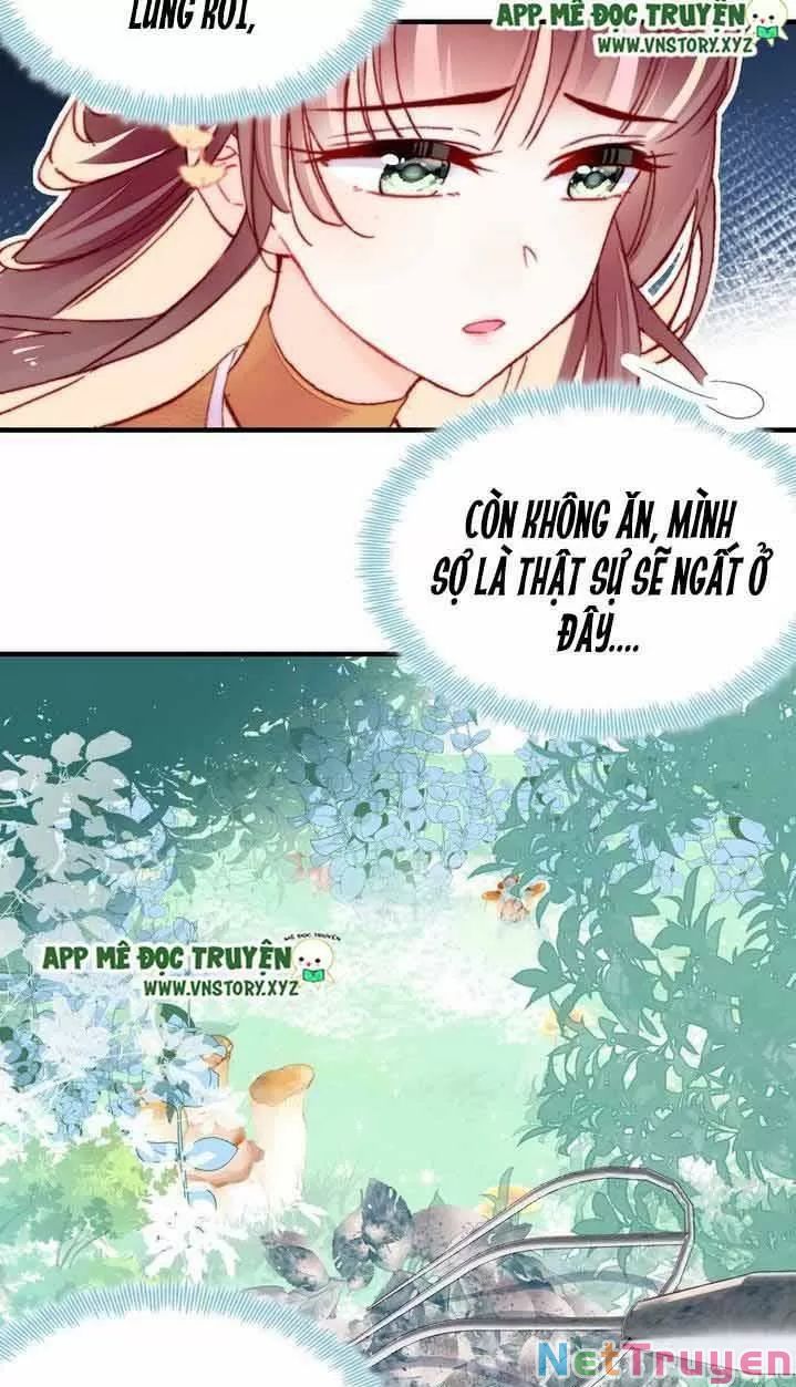 lại bị bệnh chiều chuộng quấn lấy chapter 7 30