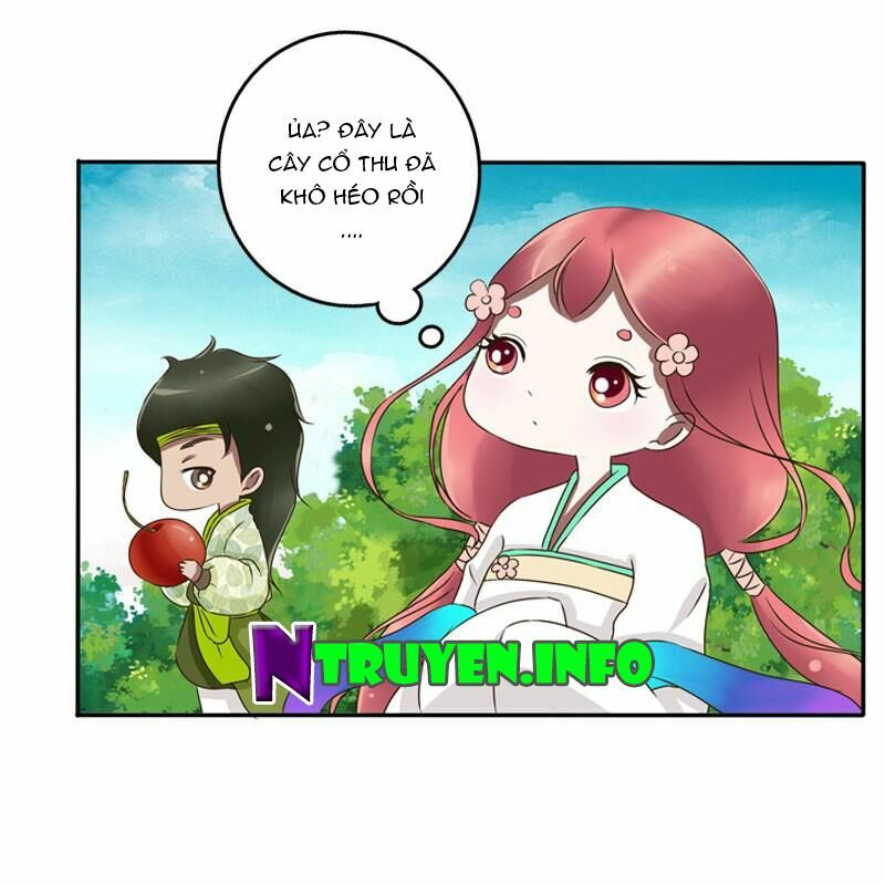 thông linh phi chapter 86 23