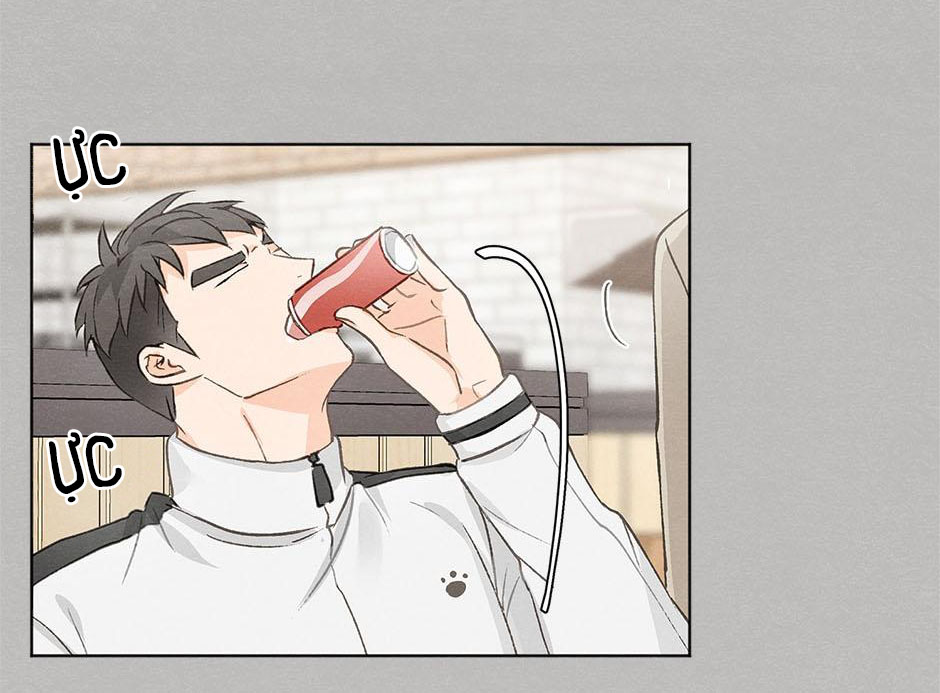 yêu hay không yêu chapter 11 29