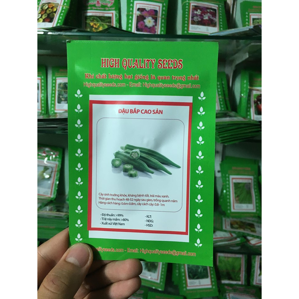 Hạt Giống Đậu Bắp Xanh - Nảy Mầm Cực Chuẩn