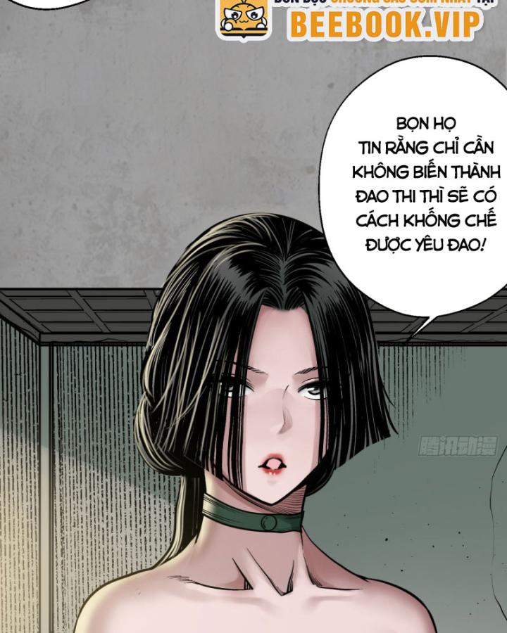 Tạng Phong Hành chapter 216 60