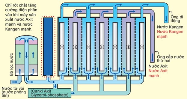 Máy Lọc Nước Ion Kiềm Kangen Leveluk SD501