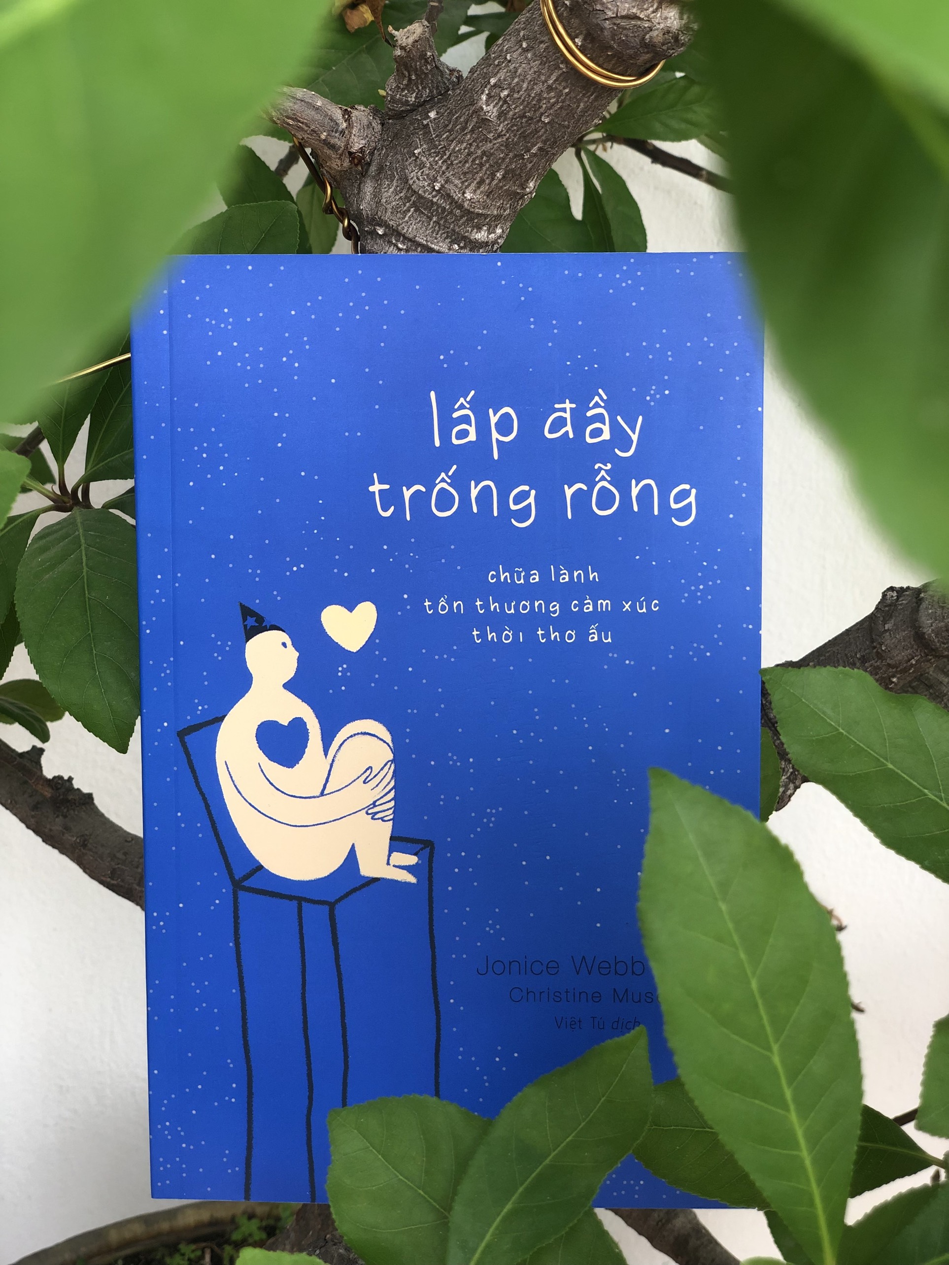 Lấp Đầy Trống Rỗng-Chữa Lành Tổn Thương Cảm Xúc Thời Thơ Ấu