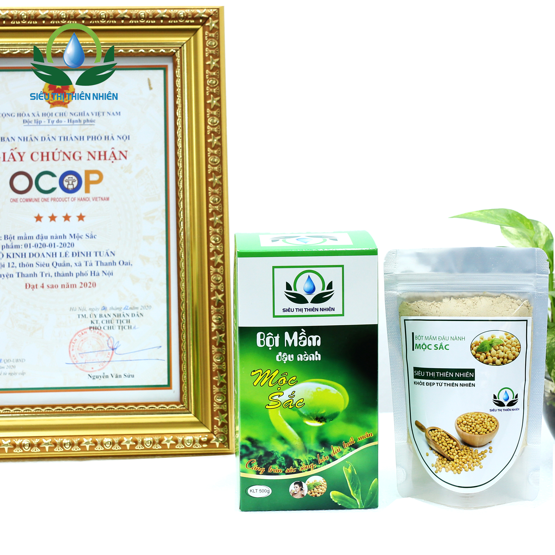Đặc Sản Tam Đảo - Bột Mầm Đậu Nành Mộc Sắc 100g - OCOP 4 SAO