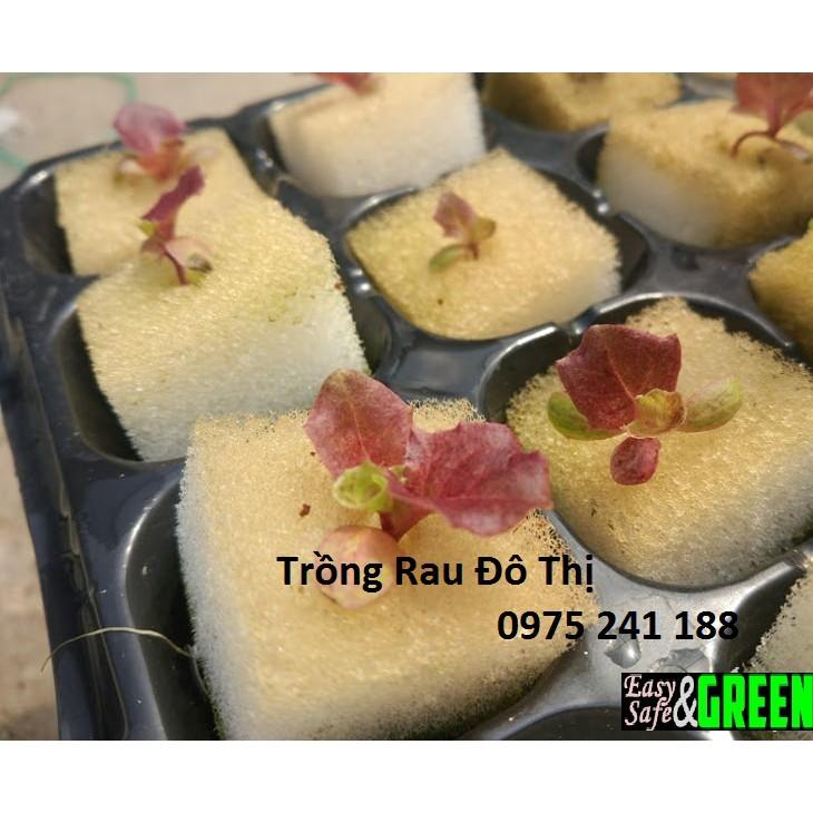 480 viên mút xốp ươm hạt kích thước 25x25x25mm hàng nhật chất lượng cao