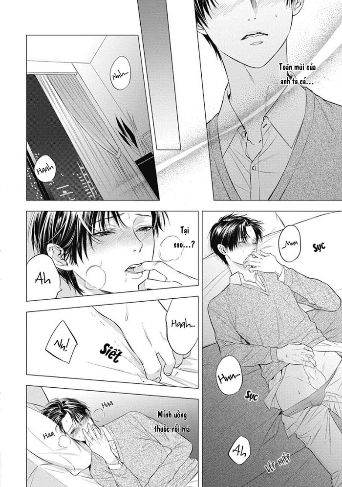 cô dâu của alpha chapter 4 8