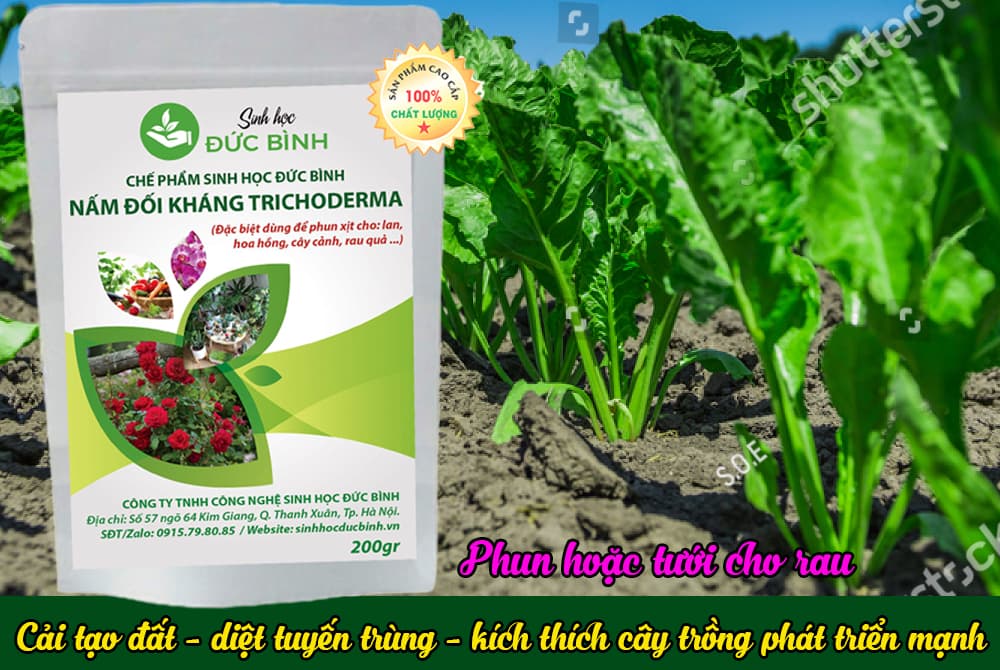 Chế Phẩm Men Vi Sinh Nấm Đối Kháng Trichoderma Đức Bình - Dùng Tưới Hoặc Phun Xịt Cho Hoa Hồng, Hoa Lan, Cây Cảnh