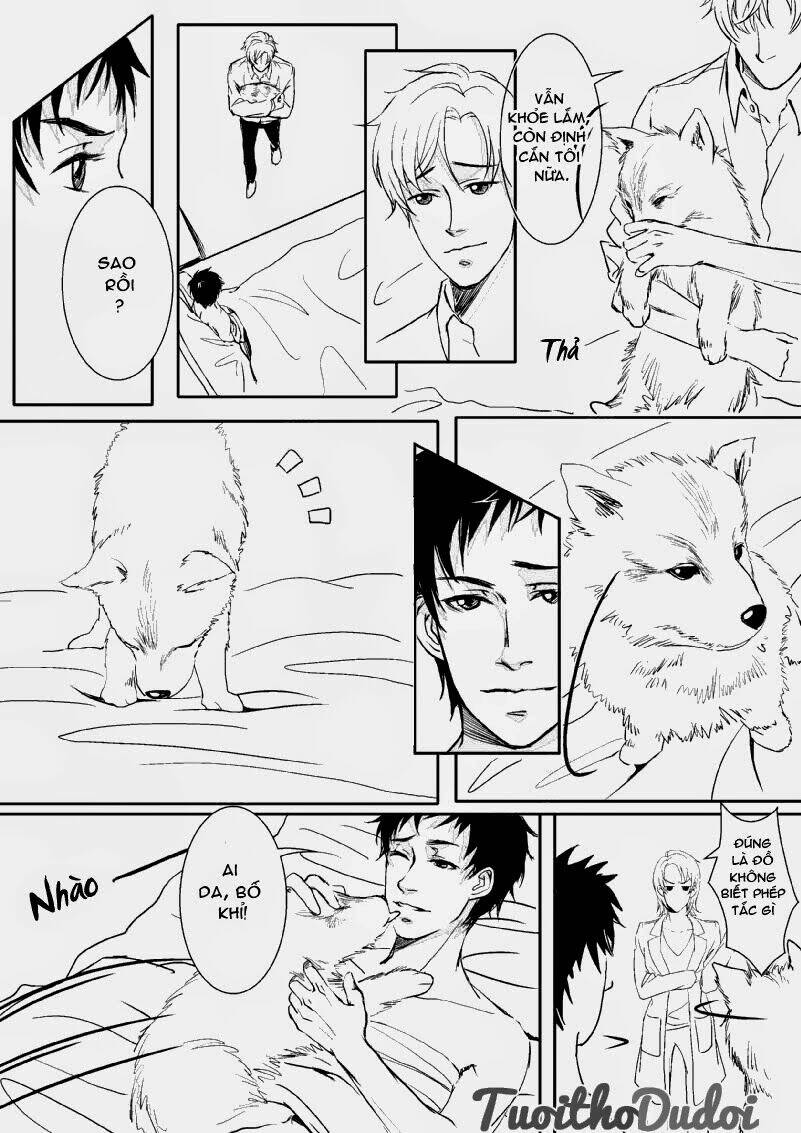 sự mê hoặc của sói chapter 5 7