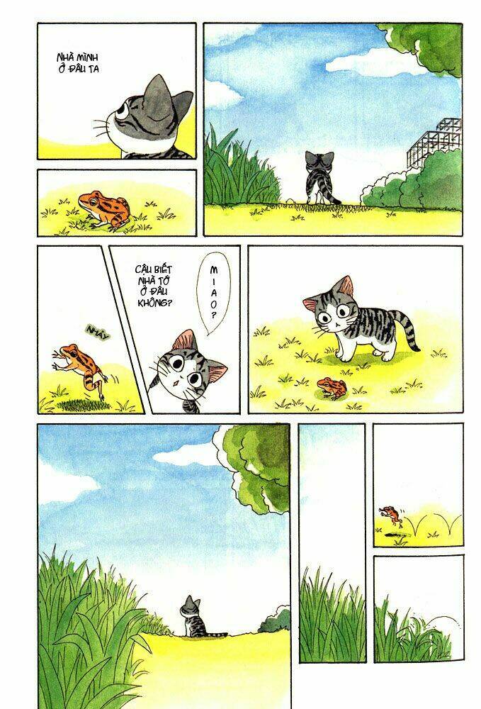 chi's sweet home chapter 1 6