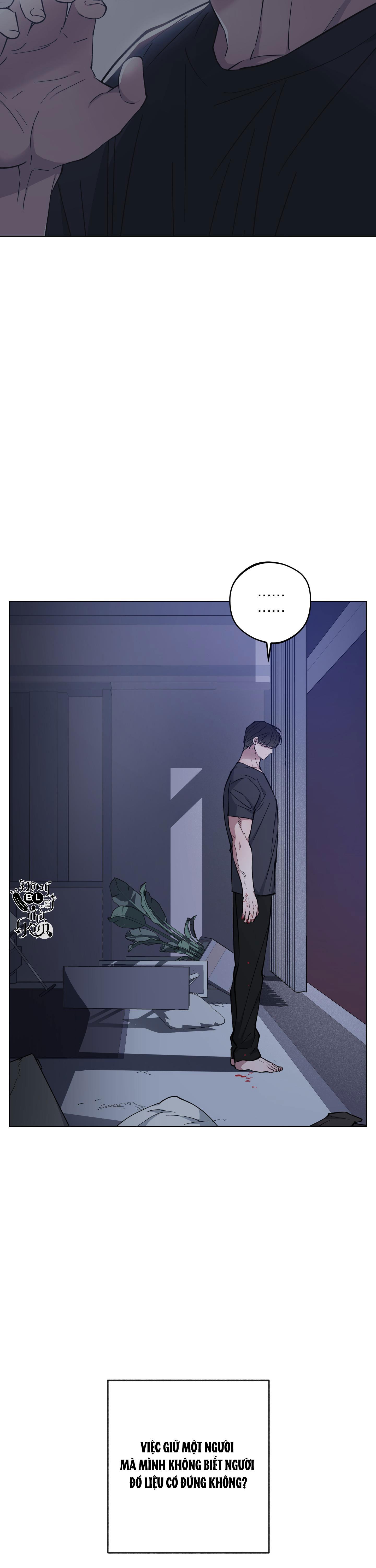 bình minh, mây và sông chapter 22 13