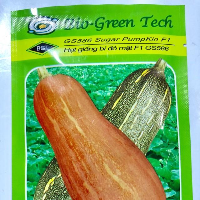 HẠT GIỐNG BÍ ĐỎ MẬT F1 GS568