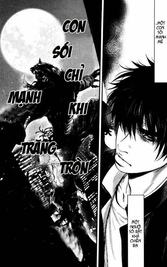 wolf guy - wolfen crest chapter 28 3