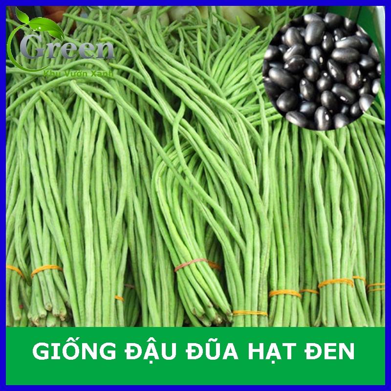 Hạt Giống Đậu Đũa Hạt Đen Sai Trái