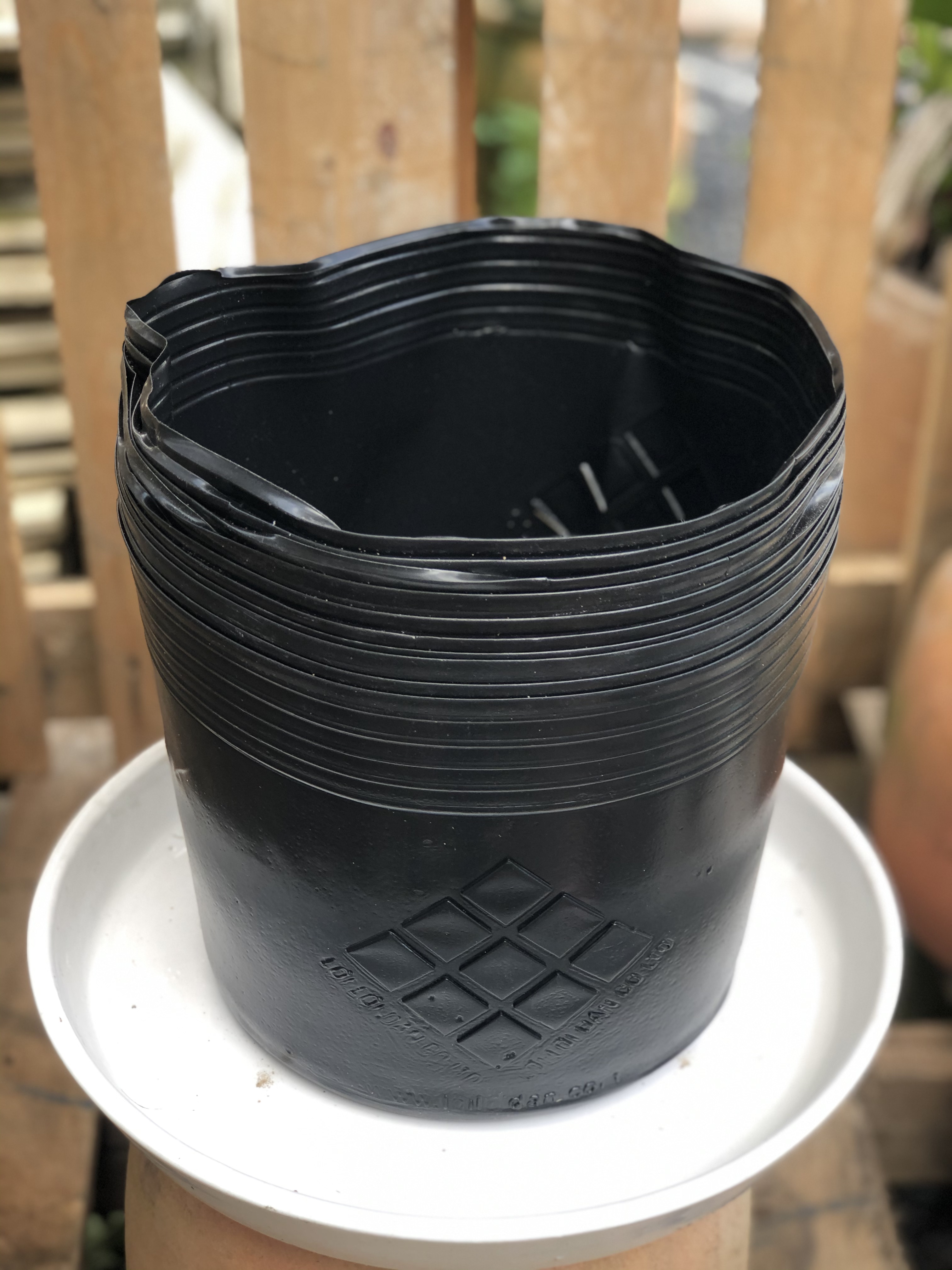 Bộ 10 chậu nhựa trồng cây lâu năm DS3 kích thước fi 250 x 200 mm