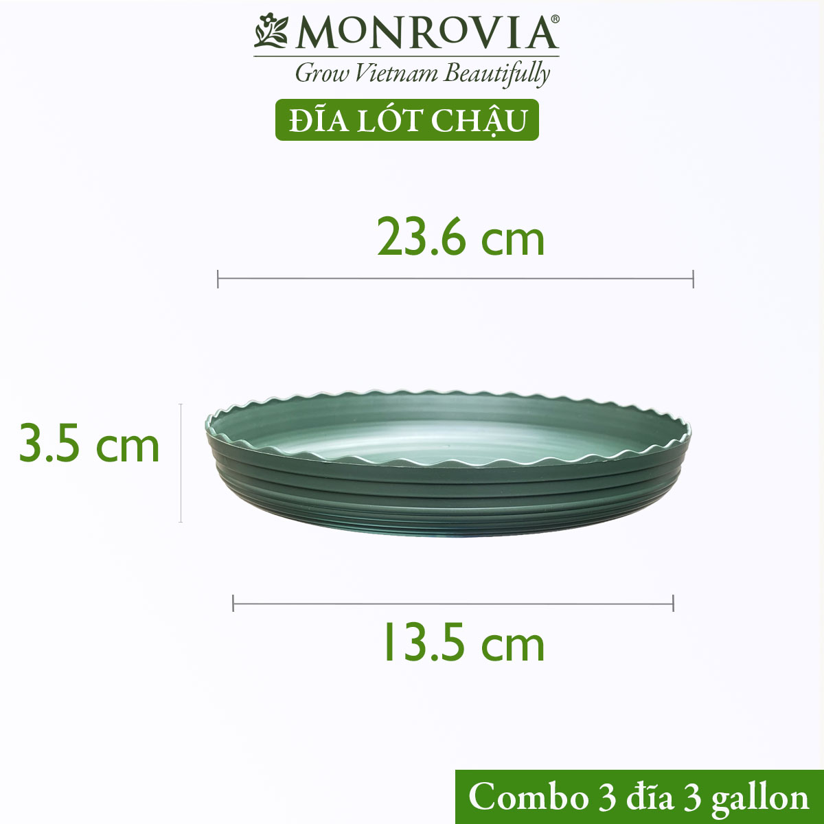 Combo 3 Đĩa lót chậu nhựa trồng cây MONROVIA 3 GL, chậu trồng cây, chậu cây cảnh mini, để bàn, treo ban công, treo tường, cao cấp, chính hãng thương hiệu MONROVIA