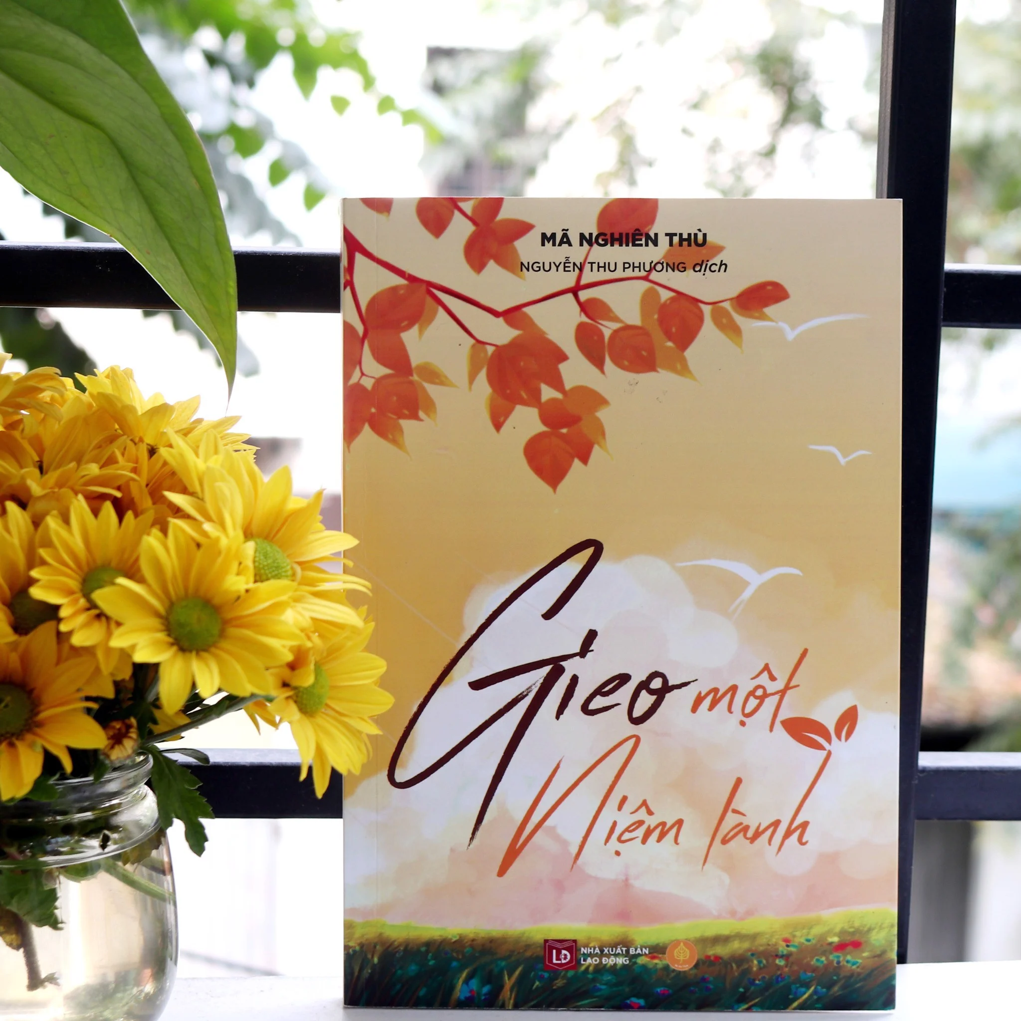 COMBO NGỘ - TÂM - TĨNH : NỤ CƯỜI GIÁC NGỘ, GIEO MỘT NIỆM LÀNH - TRỒNG MỘT THIỆN TÂM, THIỀN LÀ MỘT NHÀNH HOA - THIỀN LÀ MỘT TÁCH TRÀ TĨNH TÂM