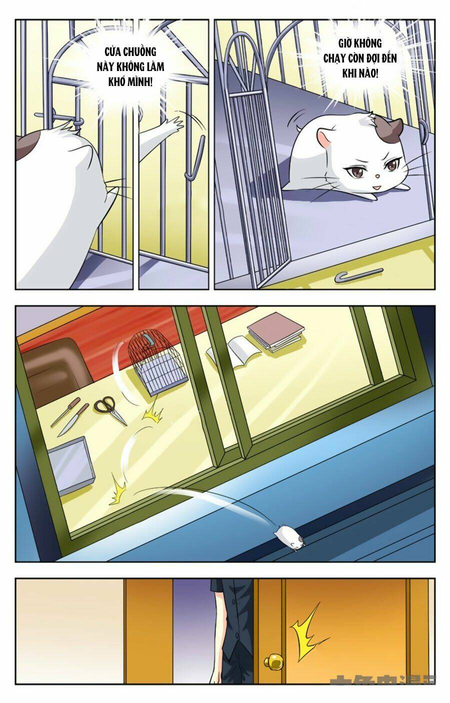 nam thần của tôi chapter 114 6