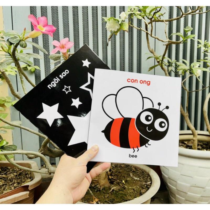 Thẻ flash card kích thích thị giác cho trẻ