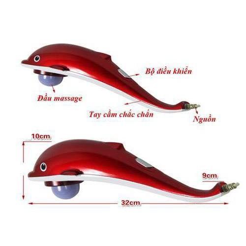 Đấm lưng cá heo
