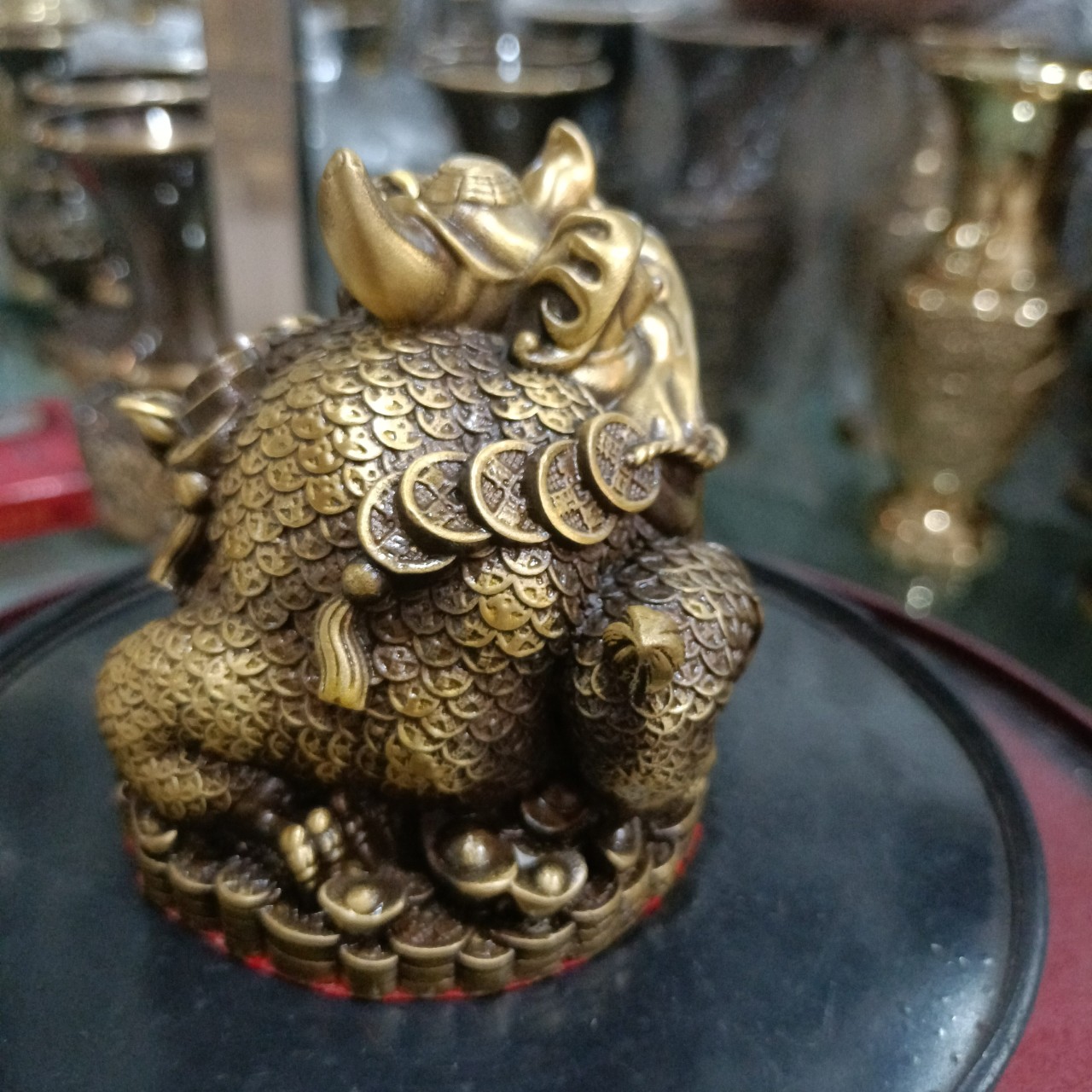 Cóc thiềm thừ, cóc phong thủy, cóc đồng vàng